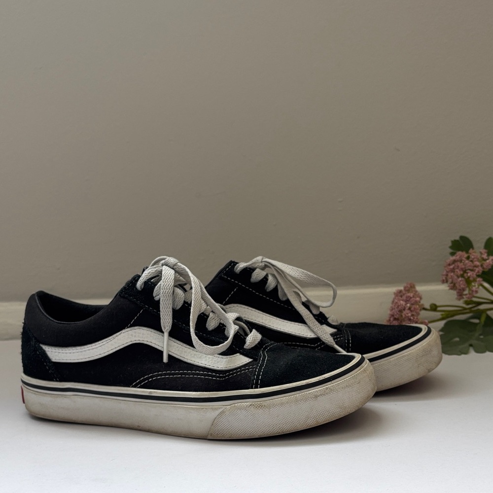 Vans Black and White Canvas Shoes